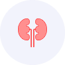 Kidney Transplant