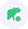 Liver Transplant
